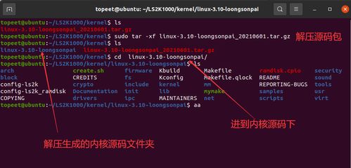 linux系统下有哪些命令可以用来查看内存使用情况？