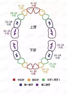 宝宝出生第一年妈妈最应关心的问题都在这了,超实用收藏这一篇就够了 