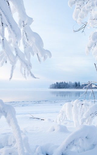 唯美雪景竖屏手机壁纸 搜狗图片搜索