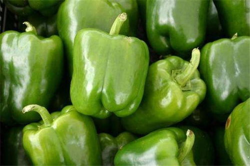 每日健康食谱 痛风患者如何用青椒做菜