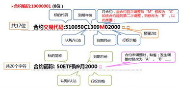 个股期权的合约有哪些基本要素要注意的？