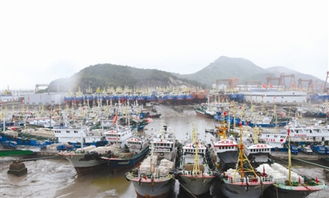 渔船入港避台风