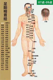 最全经络高清动图,所有穴位都有 再也不怕找不到穴位了 传疯了 