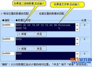 Iptool抓包工具数据块匹配教程 