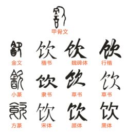 饮字的各种字体 