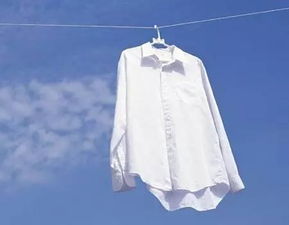白衬衫被染色了怎样才能洗掉 