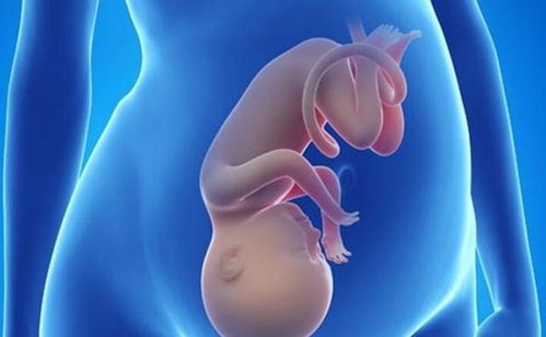 原创怀孕后，“这个孕周”可能是胎儿缺氧的高发期，妈妈尽量别忽略！