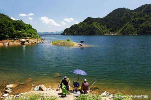 水库野钓,如何选择一个好钓点