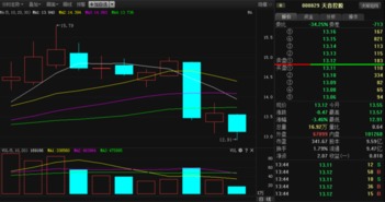 分析下000829天音控股后市如何..