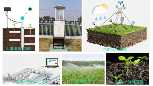 智慧园林灌溉系统综合解决方案