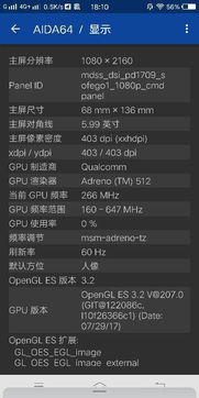 帮忙看看用AIDA64检测手机用的是什么屏幕 