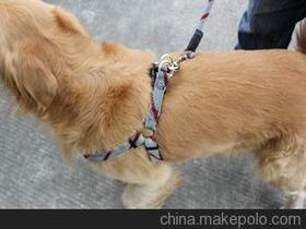 大型犬胸背带价格 大型犬胸背带批发 大型犬胸背带厂家 