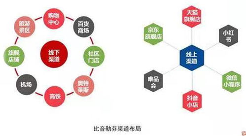 赛力斯：上半年营收达到110.32亿元