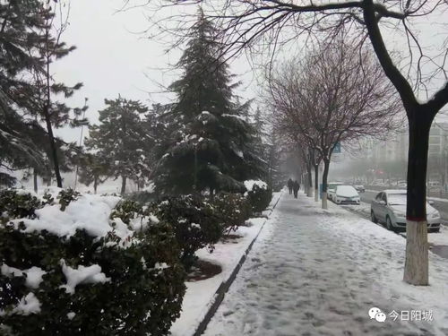 为什么景天和雪见到了大渡口防更低了？