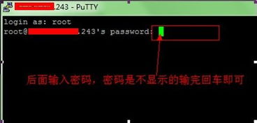 美国VPS主机Linux系统常用命令有哪些