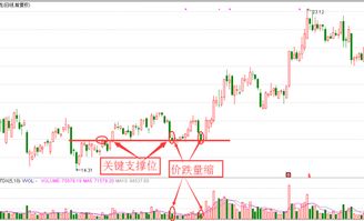 想入市，但是不知道怎么样去学校炒股，有什么时候新手的炒股软件？大智慧 通达信 那些看不懂额。