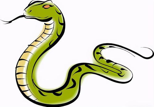 蛇的寿命一般有多长 能活上千年吗