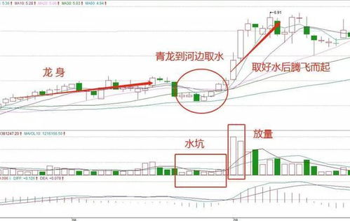 庄家是否一般选择低价股，大量入仓，然后拉升，再抛？