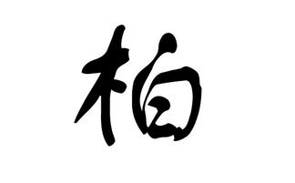 猪年柏姓宝宝起名字