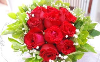情人节为什么送玫瑰 不同的玫瑰有哪些含义