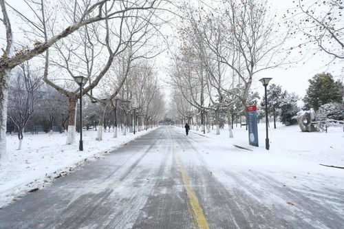 这场雪,你一定等很久了吧