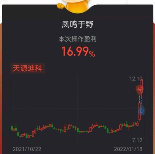 2022可以炒股吗