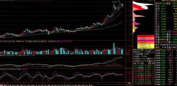 怎样在通达信上面的定制版面设置我喜欢的股票？