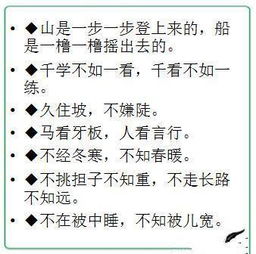 小学语文知识集锦 谚语 俗语 歇后语及广告语 