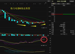 确定给出的股票的所属门类，大类和中类.格力电器属于什么门类