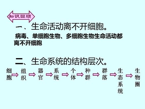 物质与精神名言_世界的物质统一性原理名言警句？