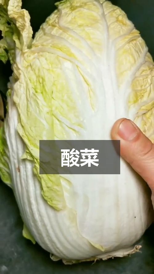 家里怎样做酸菜  第1张