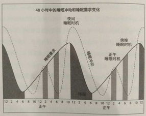 澳洲大学最缺觉专业排名曝光 为什么澳洲人只睡5 6小时,依然精力充沛 