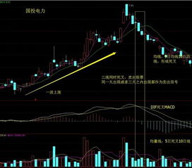 阴阳线的实体是什么原因形成的.>；本人新手