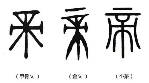 说文解字 第二课,跟神明有关的几个汉字