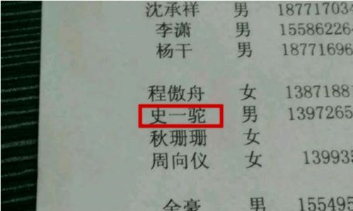 小学生因名字 简单 红了,连名带姓2笔,获网友大赞好听又好用