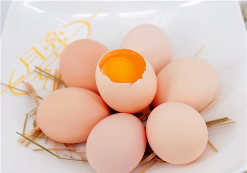 高血压患者吃鸡蛋到底好不好，吃了鸡蛋血压会升高吗(高血压人吃鸡蛋是升压还是降压)