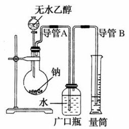 核磁问题：乙醇的三重峰是怎么算的，特别是-CH2和-OH上怎么分别是四重和单峰呢？