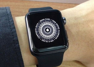 Apple Watch Apple Watch如何配对 软件教程 格子啦 