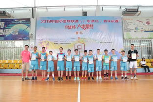 小篮球大梦想 2019中国小篮球联赛 广东赛区 省级决赛圆满落幕