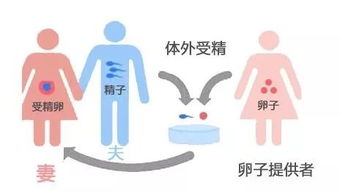 你说你一次成功,你说你失败多次,而我还只能等待