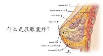 乳腺囊肿如果没及时治疗有哪些危害呢