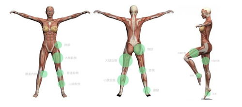 脚关节痛是怎么回事 脚关节疼痛是什么原因？ 