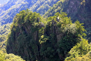 河南尧山风景区 平顶山尧山门票 石人山门票 电子票