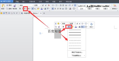 在WPS中对文字进行处理加下划线怎么操作啊 