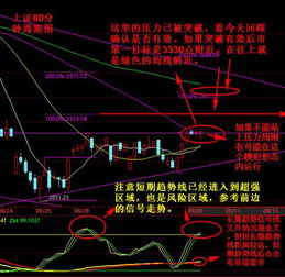 明天股市还会延续今天的涨势吗？