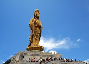 唐山到普陀山旅游攻略 普陀山旅游攻略