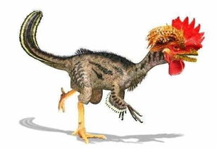科学家证实鸡的祖先是史前霸王龙, 我们一直吃的是霸王鸡