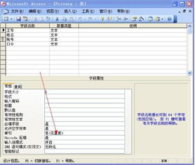 如何把两市股票代码、名称列表倒入access数据库？