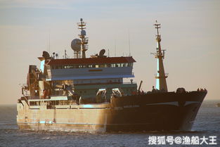 山东拖网冷冻渔船图片