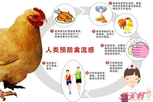h7n9型禽流感 H7N9型禽流感的主要症状有哪些